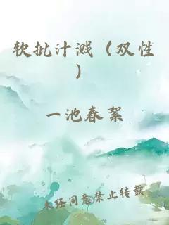 软批汁溅（双性）