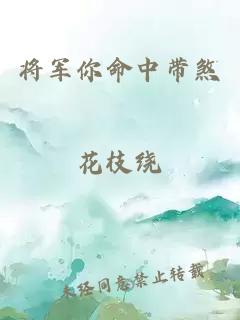 将军你命中带煞