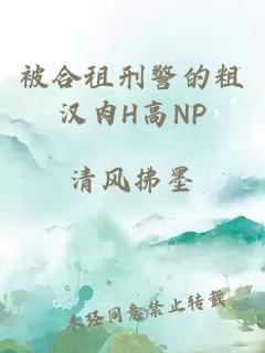 被合租刑警的粗汉肉H高NP