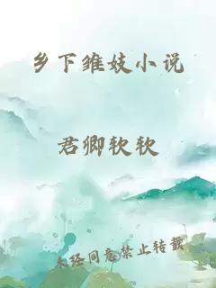 乡下雏妓小说