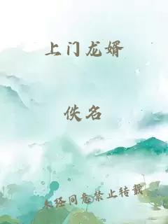 上门龙婿