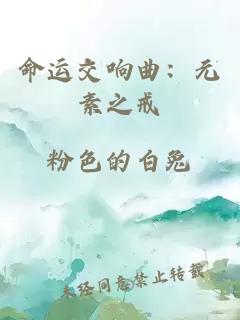 命运交响曲：元素之戒