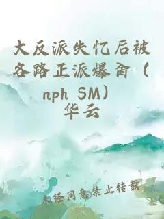 大反派失忆后被各路正派爆肏（nph SM）