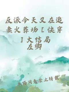 反派今天又在追妻火葬场［快穿］大结局